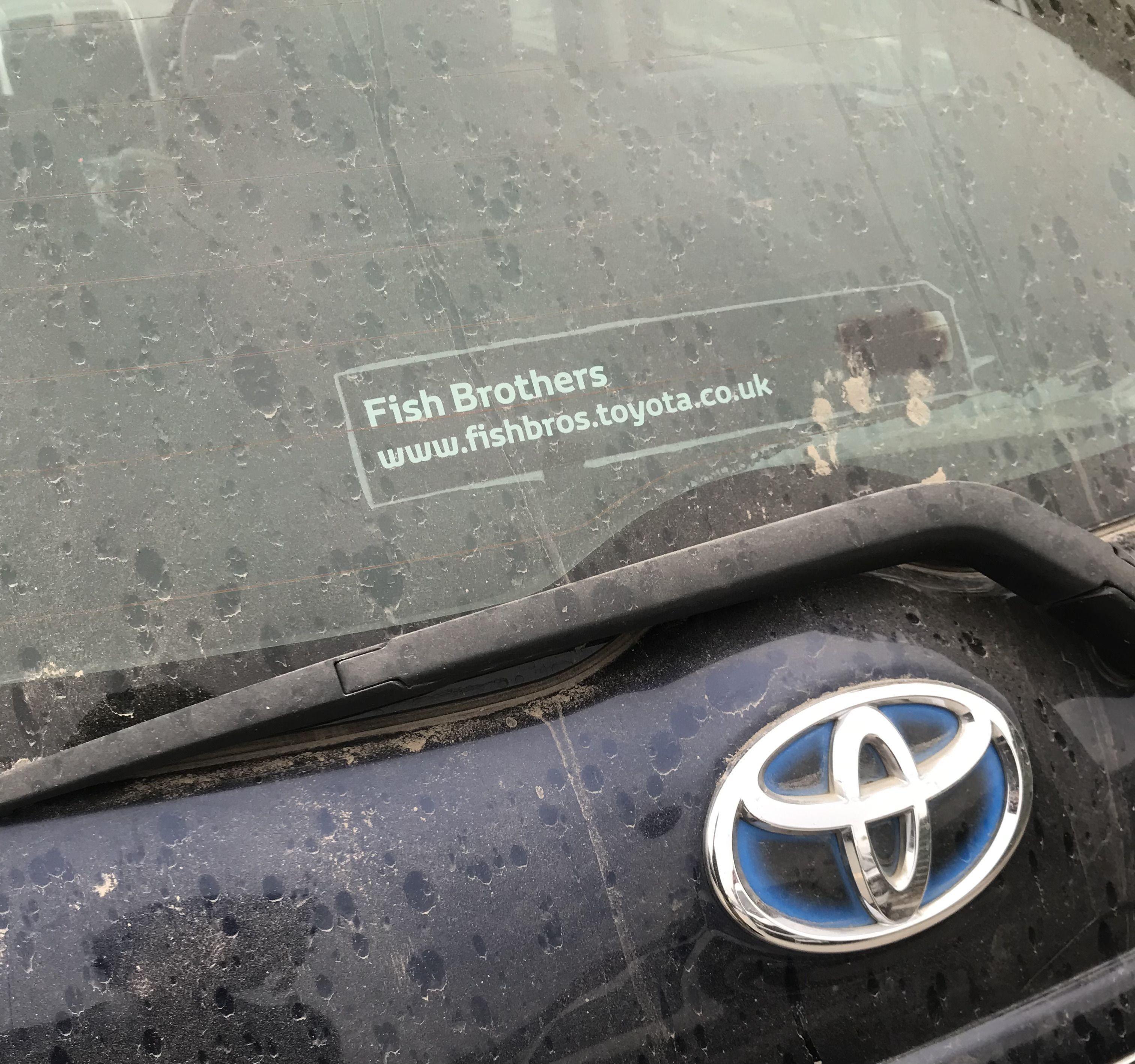 Fish Brothers